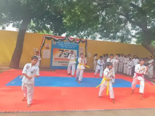 independence-day-karate-performance-school