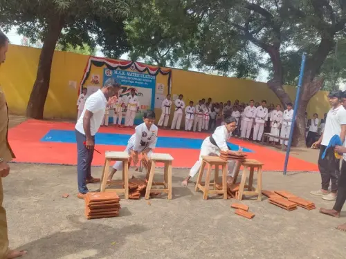 karate-exhibition-brick-breaking-gallery