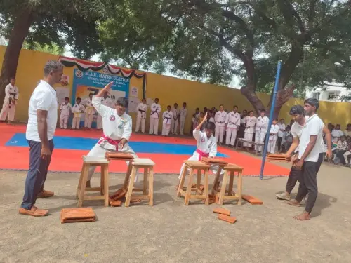 martial-arts-brick-breaking-show-independence-day