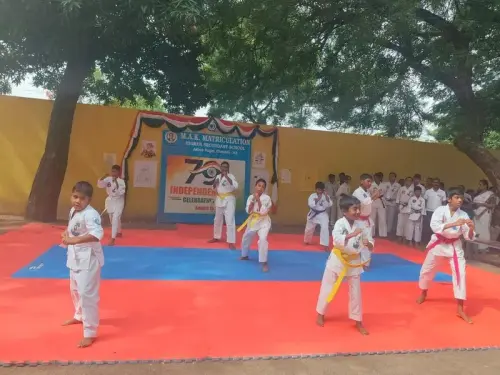 martial-arts-performance-independence-day