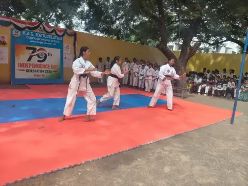 martial-arts-stunt-performance-independence-day