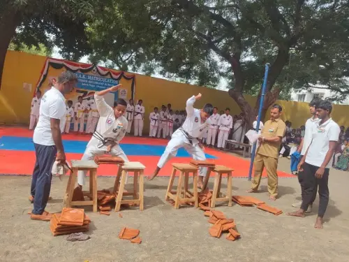 student-karate-brick-break-independence-day